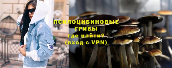 спайс Касимов