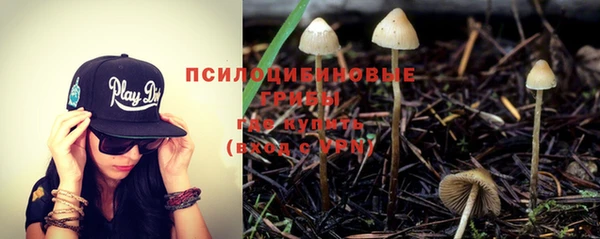 первитин Киреевск